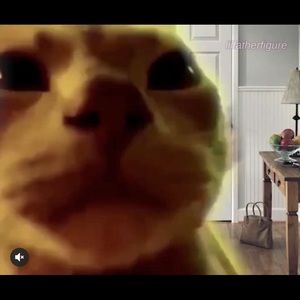 Meet your Posher, Fernando